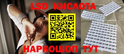 эйфоретик Новодвинск