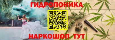 эйфоретик Новодвинск