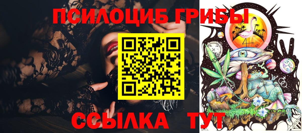 Галлюциногенные грибы Cubensis  Вход с VPN  Тосно 