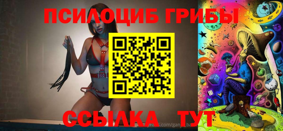 Псилоцибиновые грибы Psilocybe Тосно