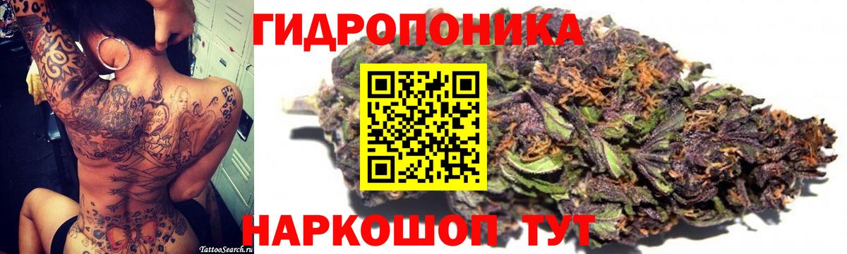 Бошки Шишки LSD WEED  Каннабис VHQ  Тосно  Вход с VPN  Каннабис сатива 